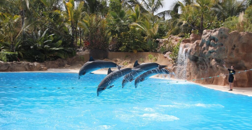 Tenerife olcsó nyaralás