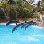 Tenerife olcsó nyaralás