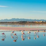 Cagliari Szardinia nyaralás repülővel 2026